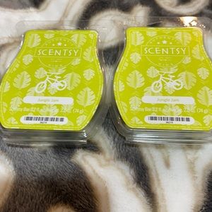 Scentsy Bars (2) - Jumgle Jam